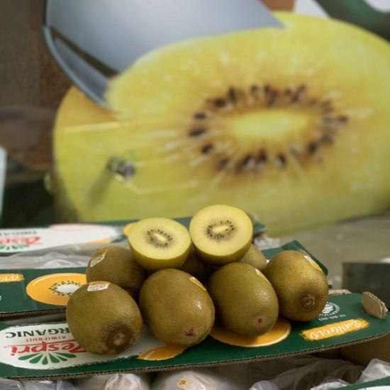 Kiwi Vàng Zespri Organic New Zealand